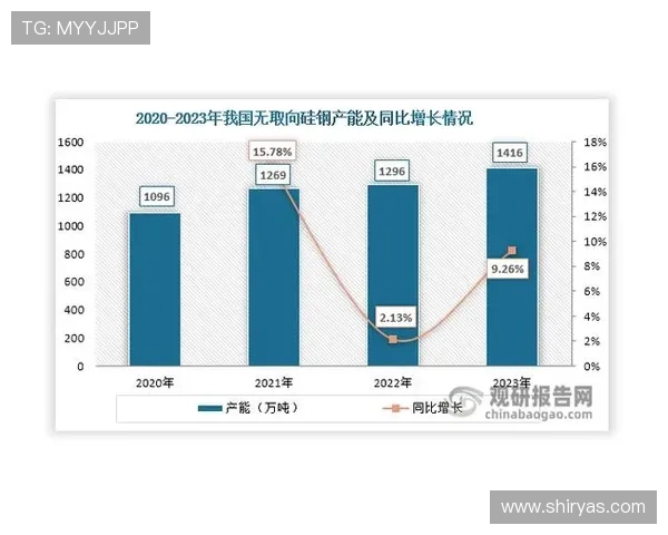 ag电子娱乐的未来发展趋势与市场分析行业专家深度解读