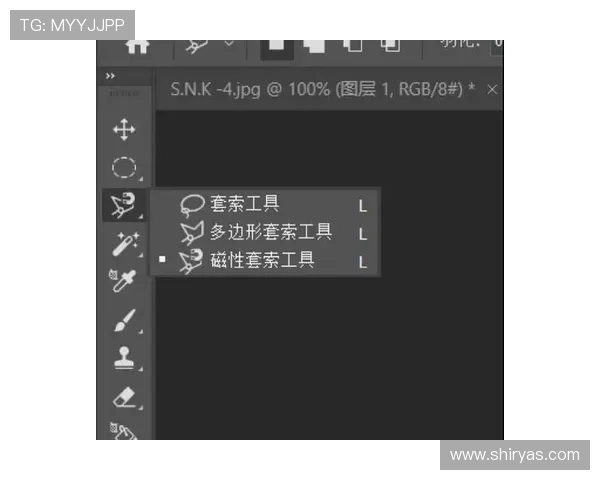 PS电子游艺平台最新玩法介绍助你轻松掌握丰富游戏体验